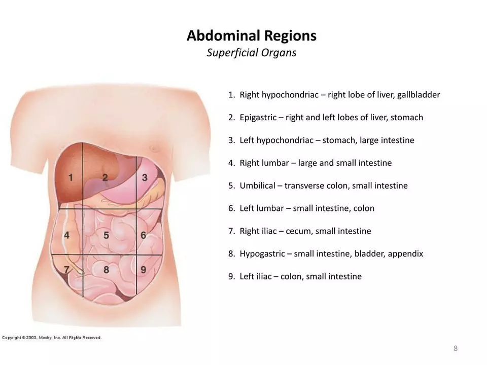 Epigastric Pain and Diverticulitis: Understanding the Connection