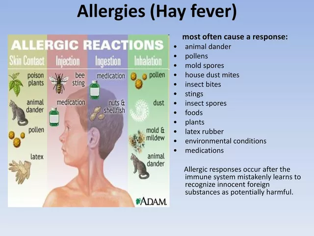 How beclomethasone helps to control hay fever symptoms