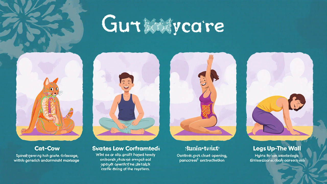Storyboard of five yoga poses targeting the gut, with highlighted core and organs.