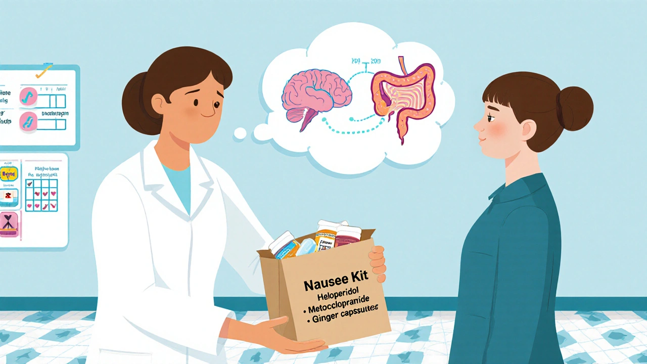 Pharmacist giving patient a nausea management kit with pills and timing guide.
